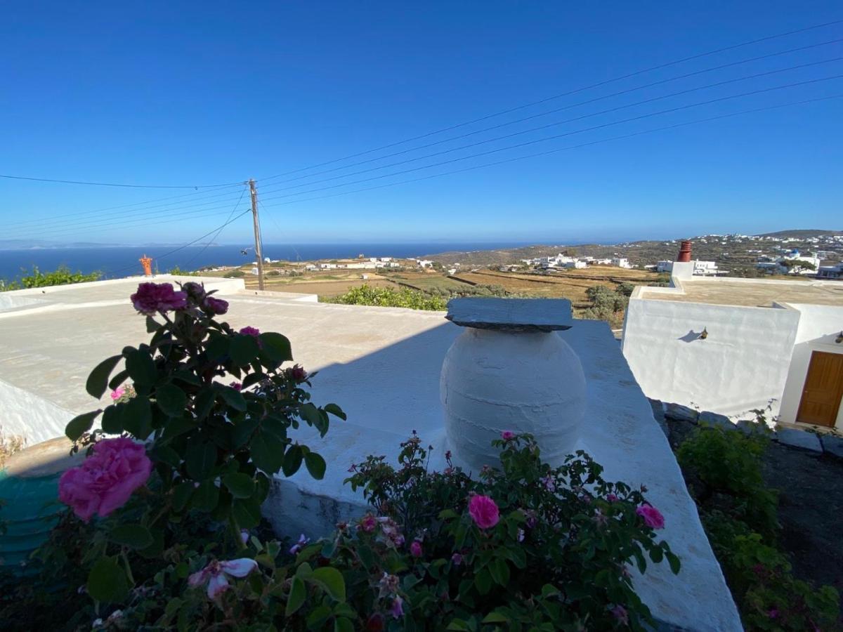 Apartment Ninemia